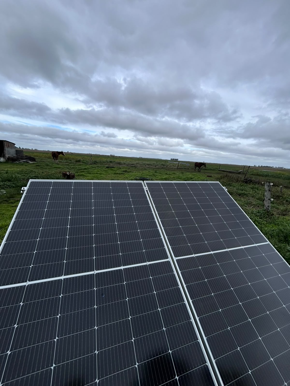 Paneles de bombeo solar instalados en un campo, con caballo pastando de fondo