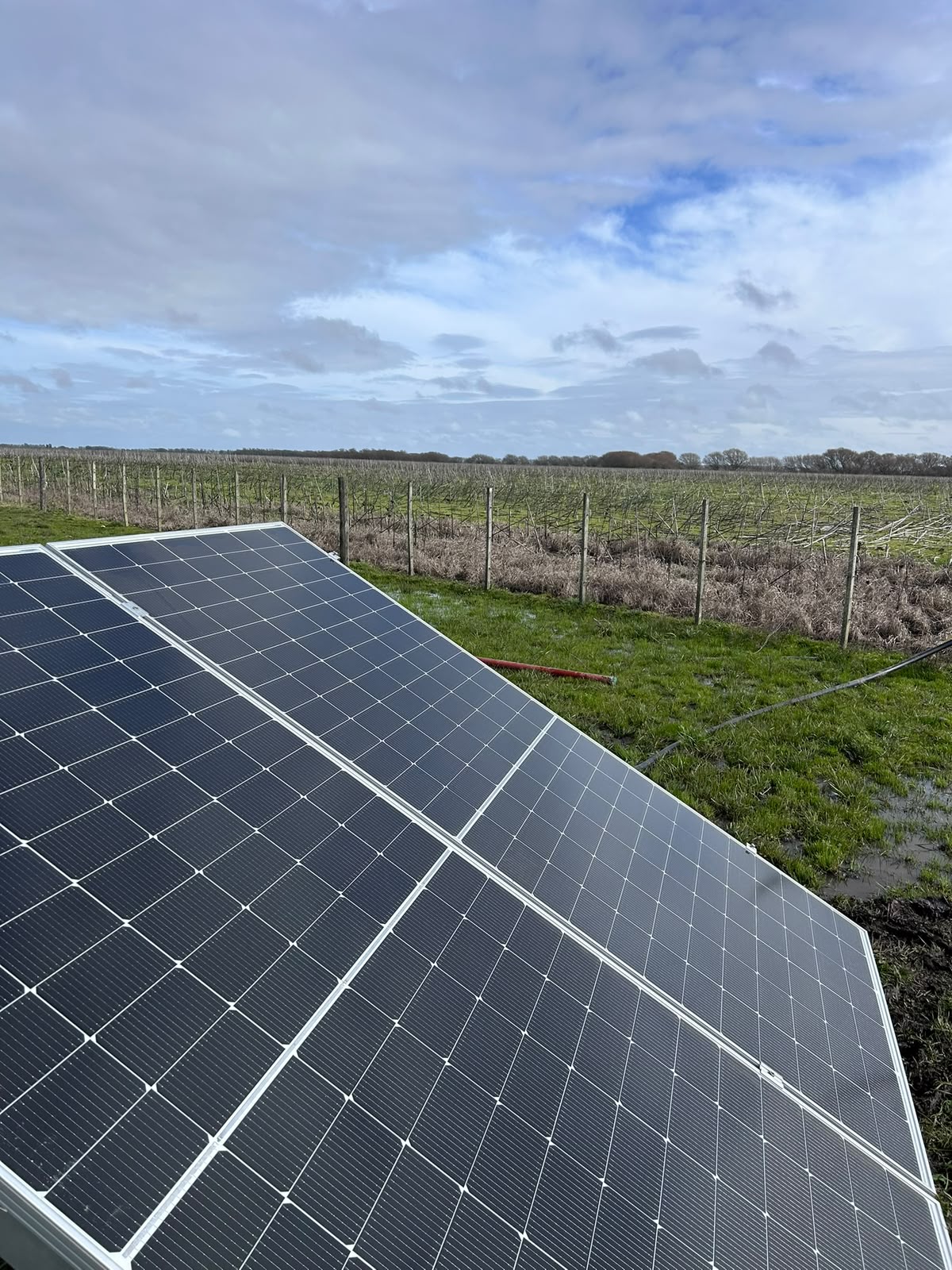 Instalación de bombeo solar con manguera de riego en el campo